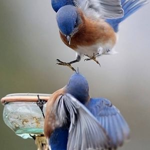 Meet your Posher, Leanne